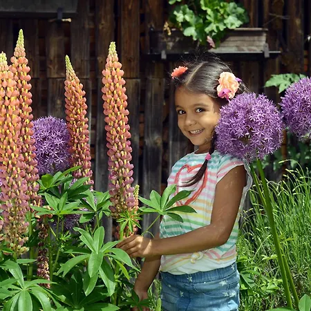 Urlaub Im Stall - Agromilia Apartman *
