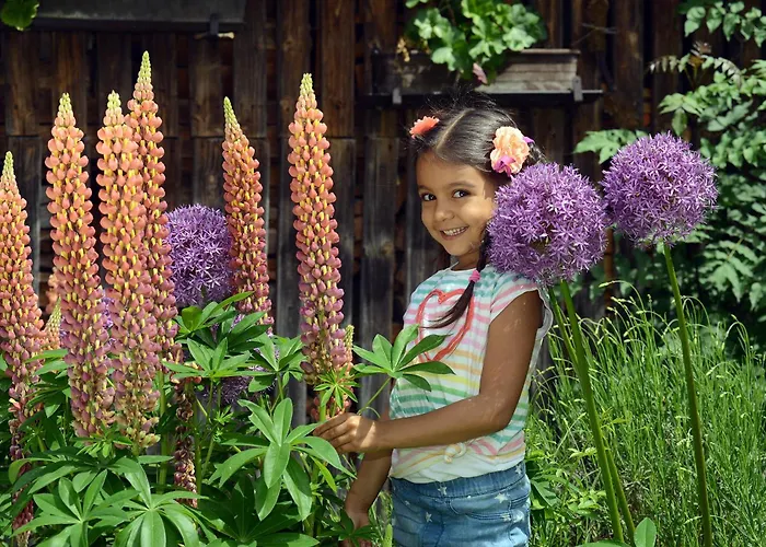Urlaub Im Stall - Agromilia Apartmán *